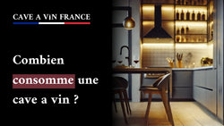 Combien consomme une cave a vin ?