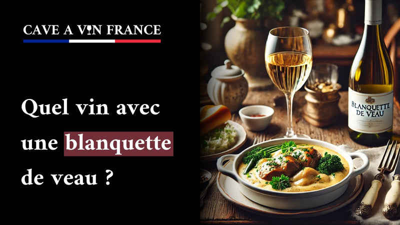 Quel vin avec une blanquette de veau ?